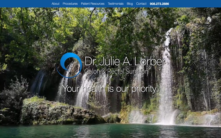 Dr. Julie Lorber website
