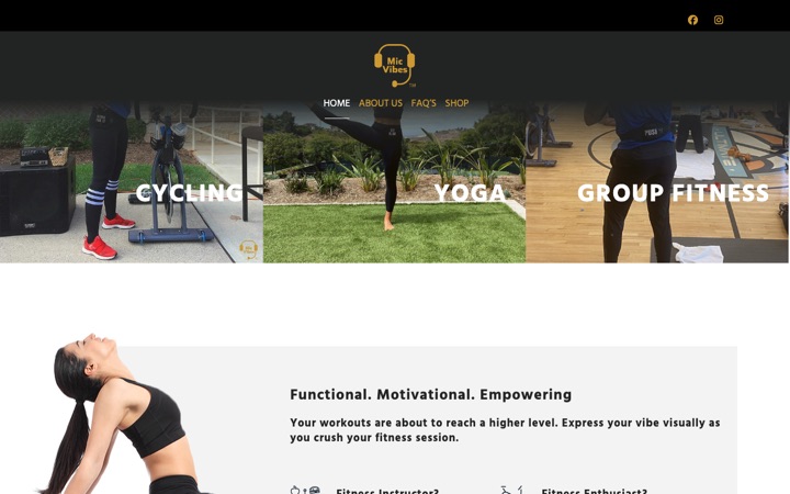 MicVibes website